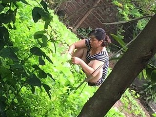 Huong Nguyen obese pest