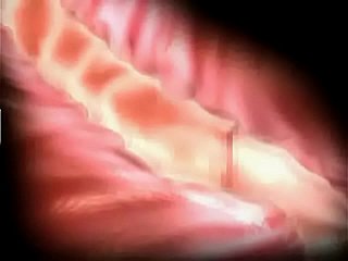 Cierpienie i przyjemność 3D Hentai