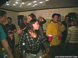 Spex Slut Preggo menyebalkan
