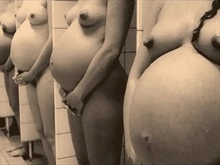 „Vintage w ciąży” Perfidious Lamplight Divertissement przedstawia moje sekretne życie, dziewiętnastowieczne dzienniki angielskiego dżentelmena
