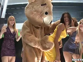 Dansende beer neukt latina kayla carrera wide hete vrijgezellenfeest