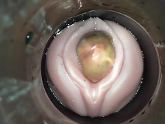 정액 캠 사람에 의해 끈적 배란