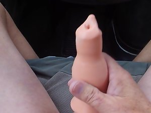 공공 남자 개 수탉