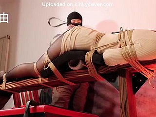 Subjugation chinesischer Birch