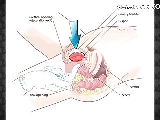 50 kỹ thuật âm vật liếm