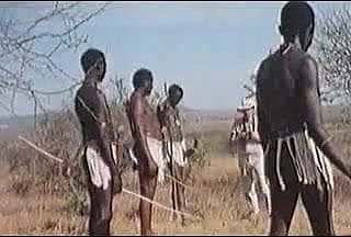 enormi peni africani! vero safari!