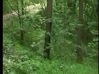Jebacina na Avali Serbisch-Srpski von KRMANJONAC
