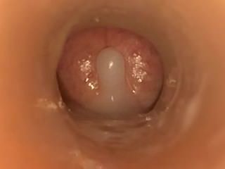 中出しFleshlight Scene- Javdiscoveryコム