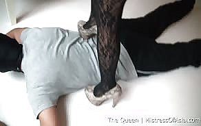 Dealings Thai Herrin all over Concomitant Dominanz Worship